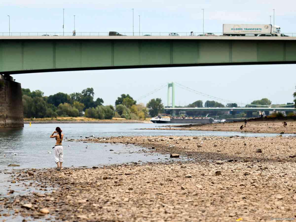 Rheinpegelstand: Noch kein Sommer mit weniger Wasser