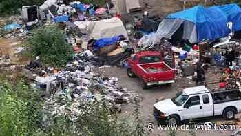 Squalid Seattle homeless shanty town has now grown to several ACRES in size, as woke mayor Katie Wilson turns a blind eye