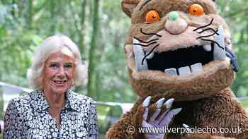 Queen Camilla's Liverpool visit left her 'laughing and giggling' with The Gruffalo at Speke Hall