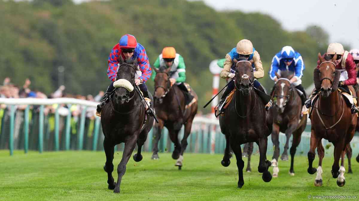 Horse Power: Big Mojo to grab Sprint Cup success again at Haydock Park