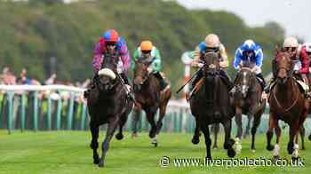 Horse Power: Big Mojo to grab Sprint Cup success again at Haydock Park