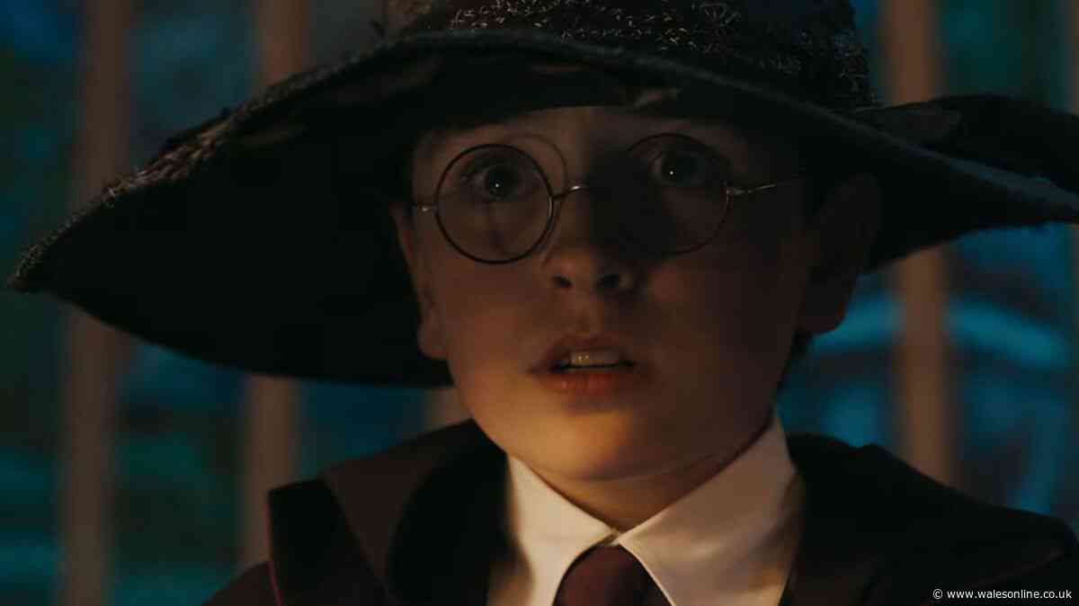 Harry Potter reboot's new Dobby star breaks silence with incredible throwback snap