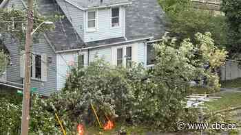'You couldn’t see anything': Windsor-Essex residents pick up the pieces after tornado