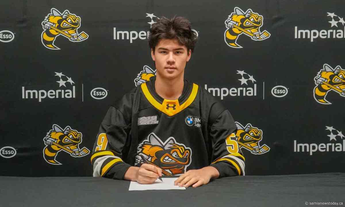 Sting add to goalie depth ahead of OHL season