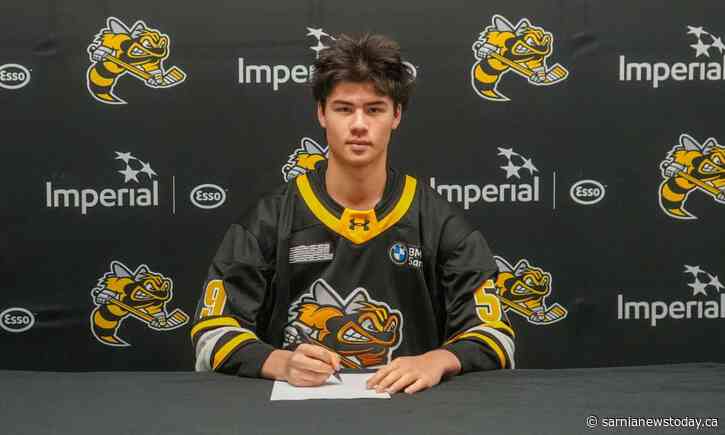 Sting add to goalie depth ahead of OHL season