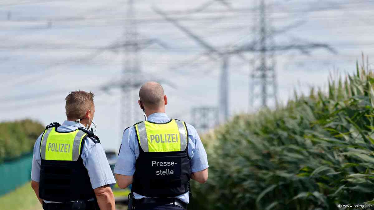 Sabotageakte gegen Energieversorgung: Wie lassen sich Anschläge auf das Stromnetz verhindern?