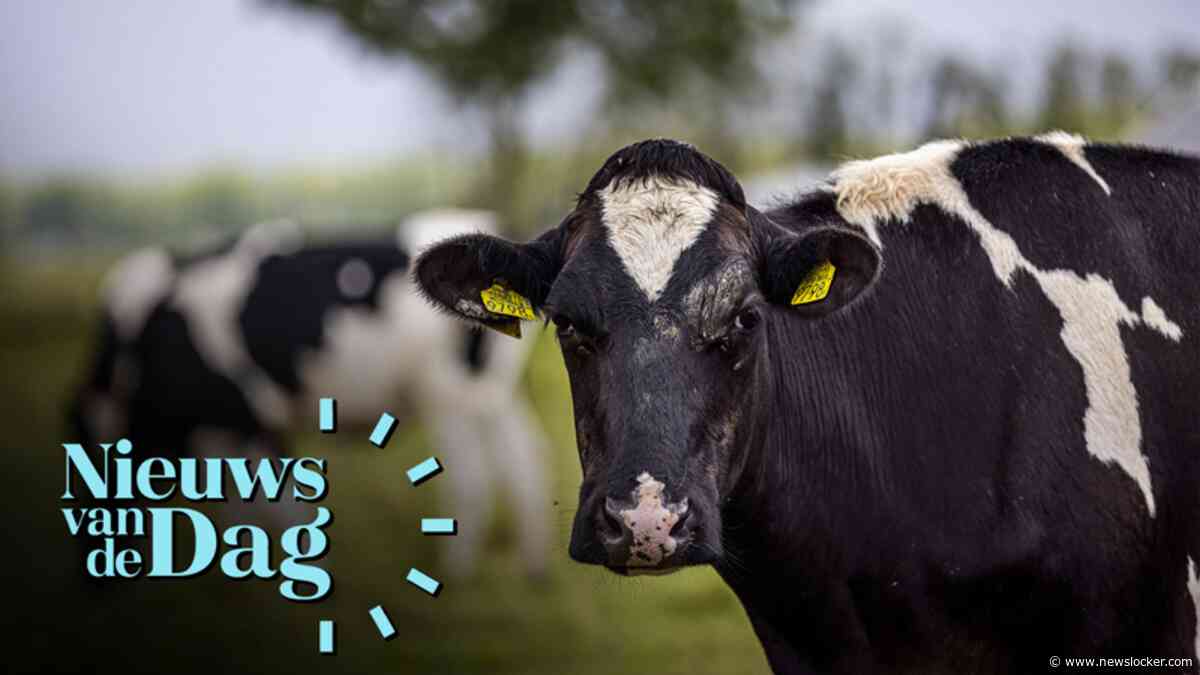 'Ik snap dat boeren boos zijn, dit kan ook niet zo doorgaan'
