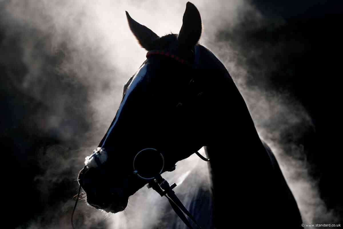 Vets warn of ‘multiple’ deaths in equine grass sickness outbreak
