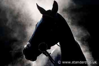 Vets warn of ‘multiple’ deaths in equine grass sickness outbreak