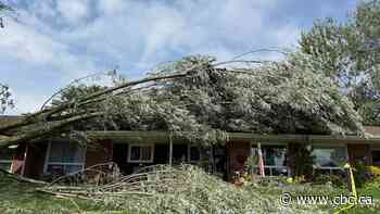 Evidence tornado 'likely occurred' in Wellesley Township this week, researchers say