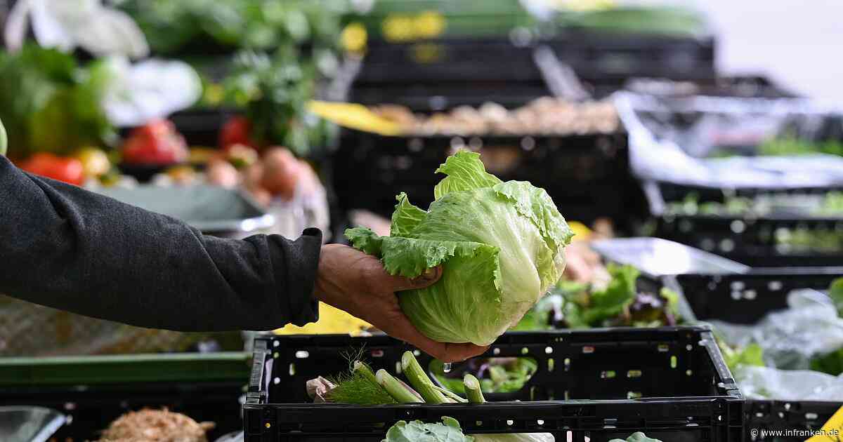 Salat-Rückruf bei Edeka und Marktkauf - Verzehr dringend abgeraten