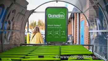 Dunelm reduces 'perfect' Scandi-style accent chair to half price
