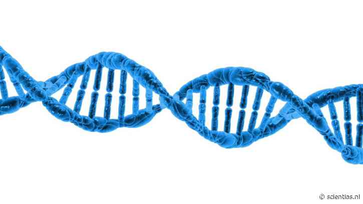 Deze stukjes DNA bepalen mee wie je bent