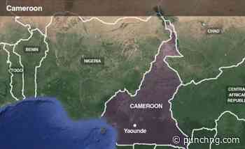 18 children rescued from captivity in Cameroon