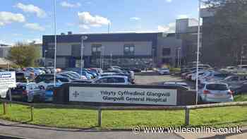 Wards closed at Carmarthen's Glangwili Hospital after scabies and flu outbreaks