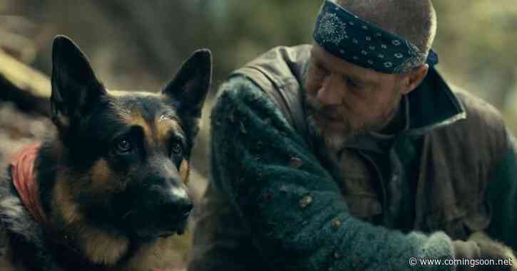 Heart of the Beast Movie Required Brad Pitt to Become a Dog Trainer, Watch Video