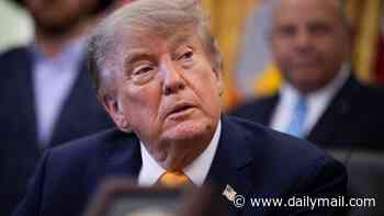 Trump breaks silence on Lindsay Clancy after murder trial collapsed: 'She did a horrible, horrible thing'