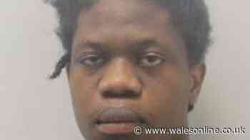 'Truly wicked' killer murdered dad before fleeing to Swansea