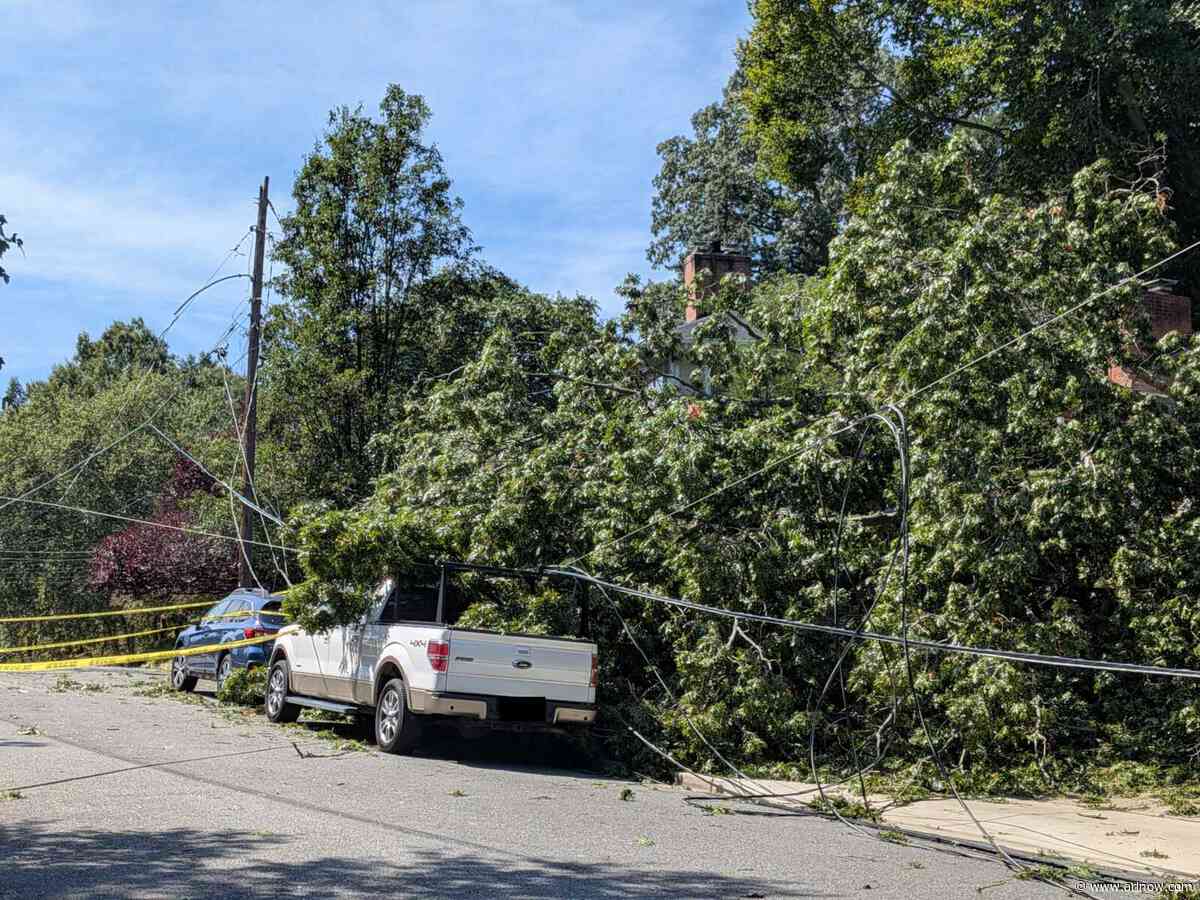 Almost 4,000 still without power in Arlington after severe ’25-year’ storm