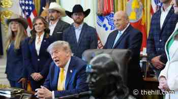 Trump signs controversial beef deal with Brazil, Argentina