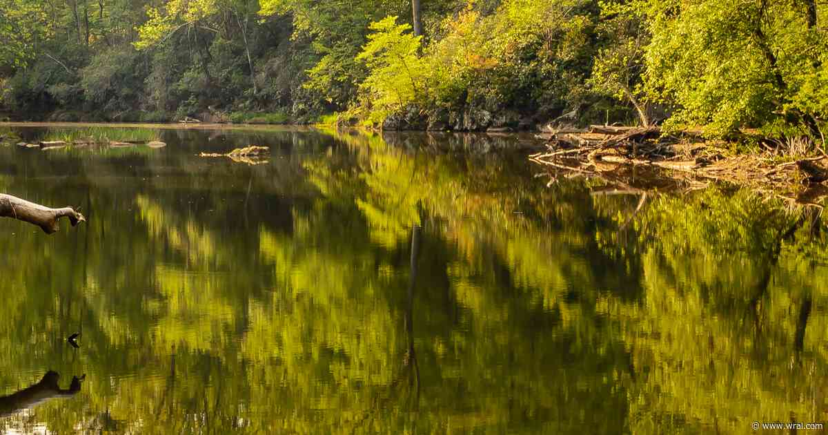Brain-eating amoeba, flesh-eating bacteria: What NC swimmers should know this Labor Day