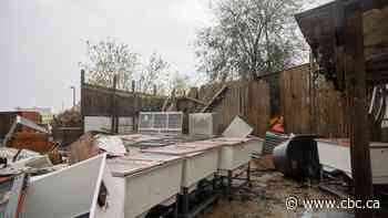 Toronto Wildlife Centre suffers 'widespread damage' from severe storm