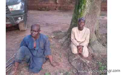 Troops rescue 25 kidnap victims in Katsina, Zamfara