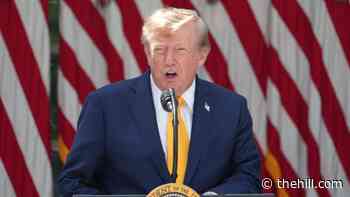 Trump offers first comments on Lindsay Clancy case