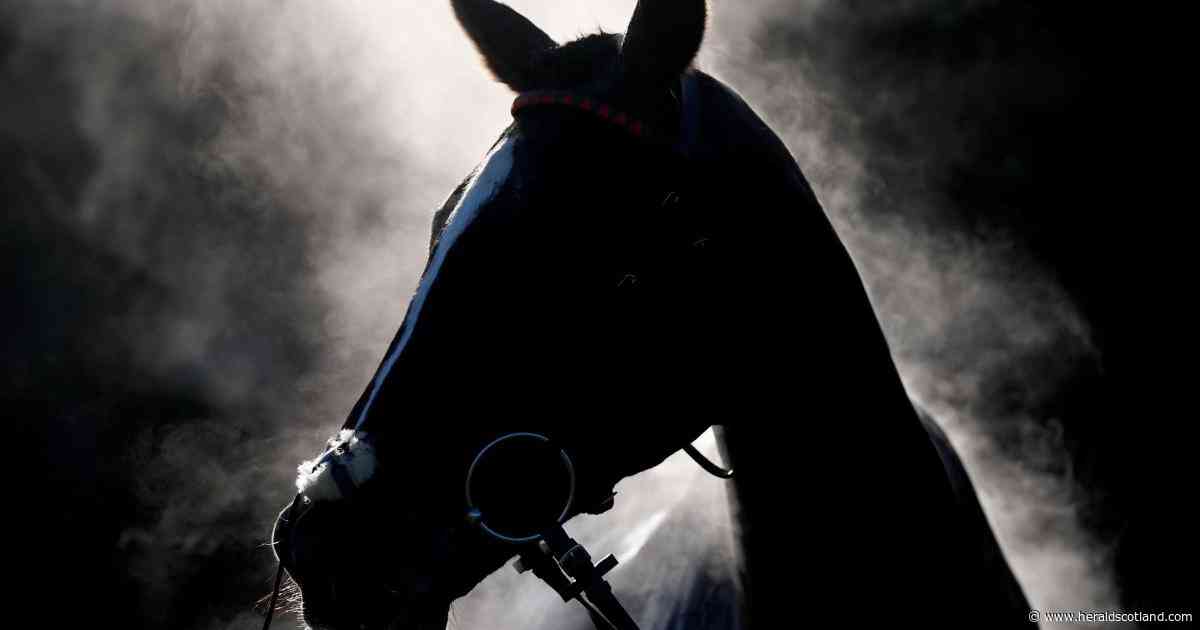 Equine grass sickness outbreak hits Dumfries and Galloway, 'multiple losses' reported
