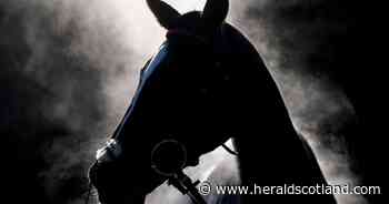 Equine grass sickness outbreak hits Dumfries and Galloway, 'multiple losses' reported