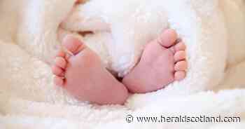 Scottish midwives being 'left to their own devices' on surrogacy says MP