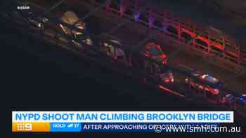 New York police kill man who tried to climb the Brooklyn Bridge
