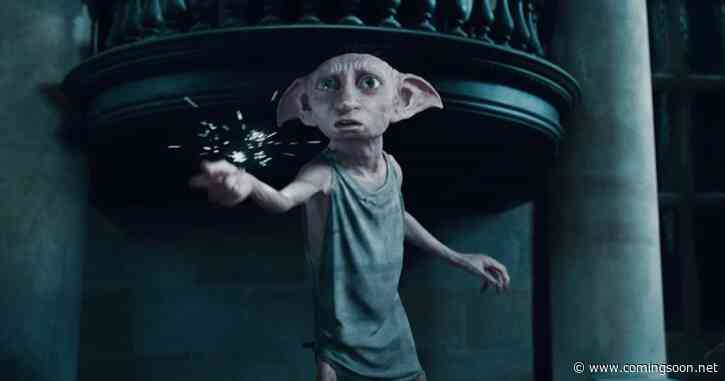 Harry Potter’s New Dobby Actor Has Heartwarming Reaction to TV Show’s Casting News