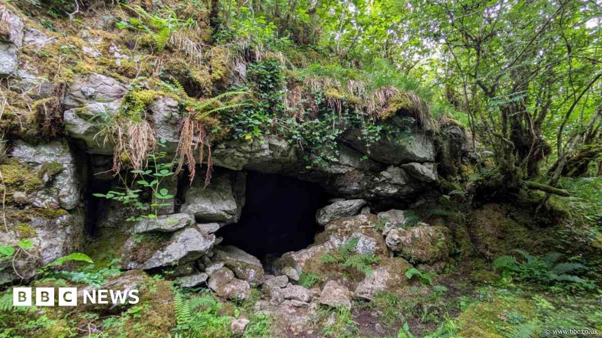 Ancient cave art discovery suggests first known humans in Ireland walked over from Wales