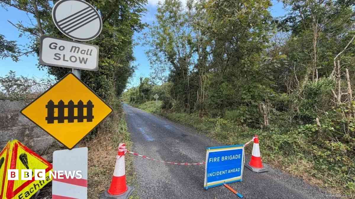 Boy, 12, dies after car hit by train