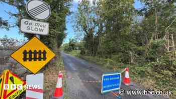 Boy, 12, dies after car hit by train