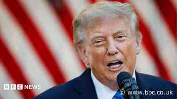 Donald Trump to meet Irish president on two day visit