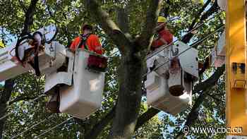 Destructive Ontario storms highlight gaps in severe weather preparedness: expert
