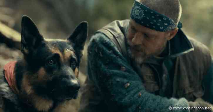 Brad Pitt Details Challenges of Filming Emotional Scenes With a Dog Actor in New Movie