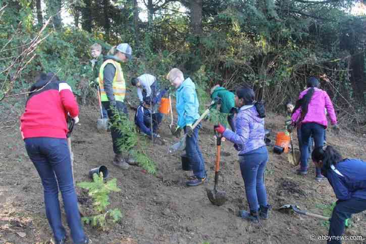 City invites Abbotsford residents to get their hands dirty for National Tree Day