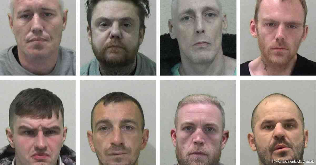 North East thugs who attacked their own flesh and blood and made their families' lives hell