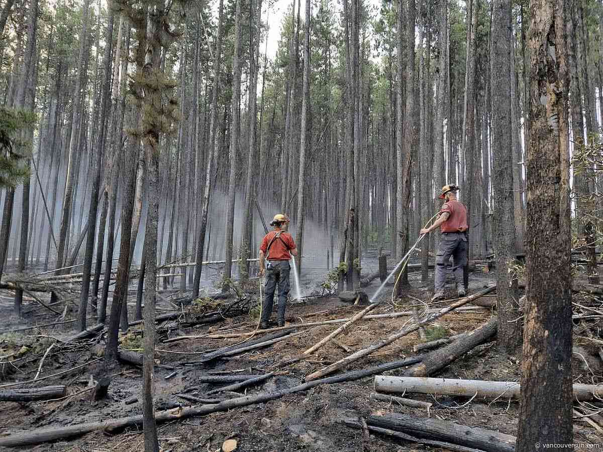 Arson suspect arrested after three fires in Squamish-Whistler area