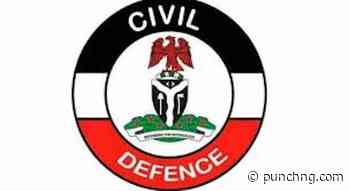 Trafficker lures, sells 15 Nasarawa children