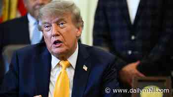 Putin is 'not looking to attack Nato territory', says Donald Trump - despite attempted drone strike on a German airport