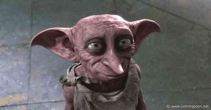 Harry Potter Fans Have One Big Question About HBO Max’s New TV Show Dobby Casting