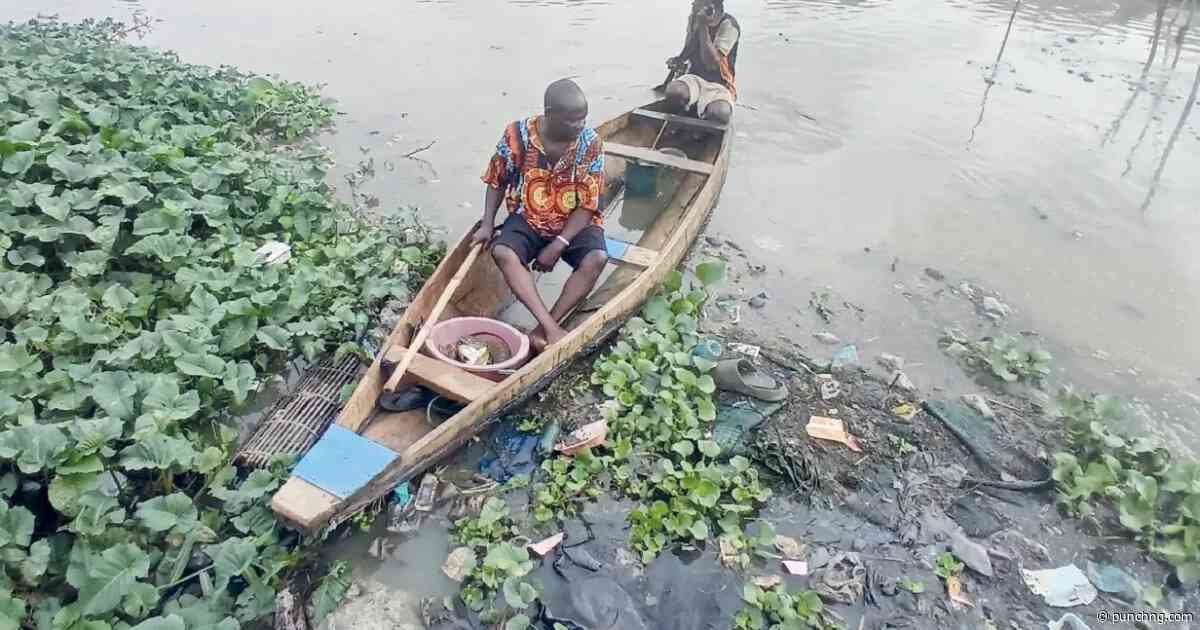 From beaches to plates: How Lagos plastic waste pollutes aquatic life, threatens humans