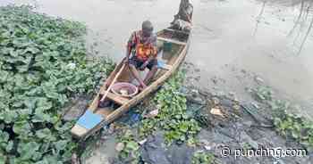 From beaches to plates: How Lagos plastic waste pollutes aquatic life, threatens humans