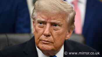 Donald Trump speaks out on Putin's next move amid German airport drone strike blame