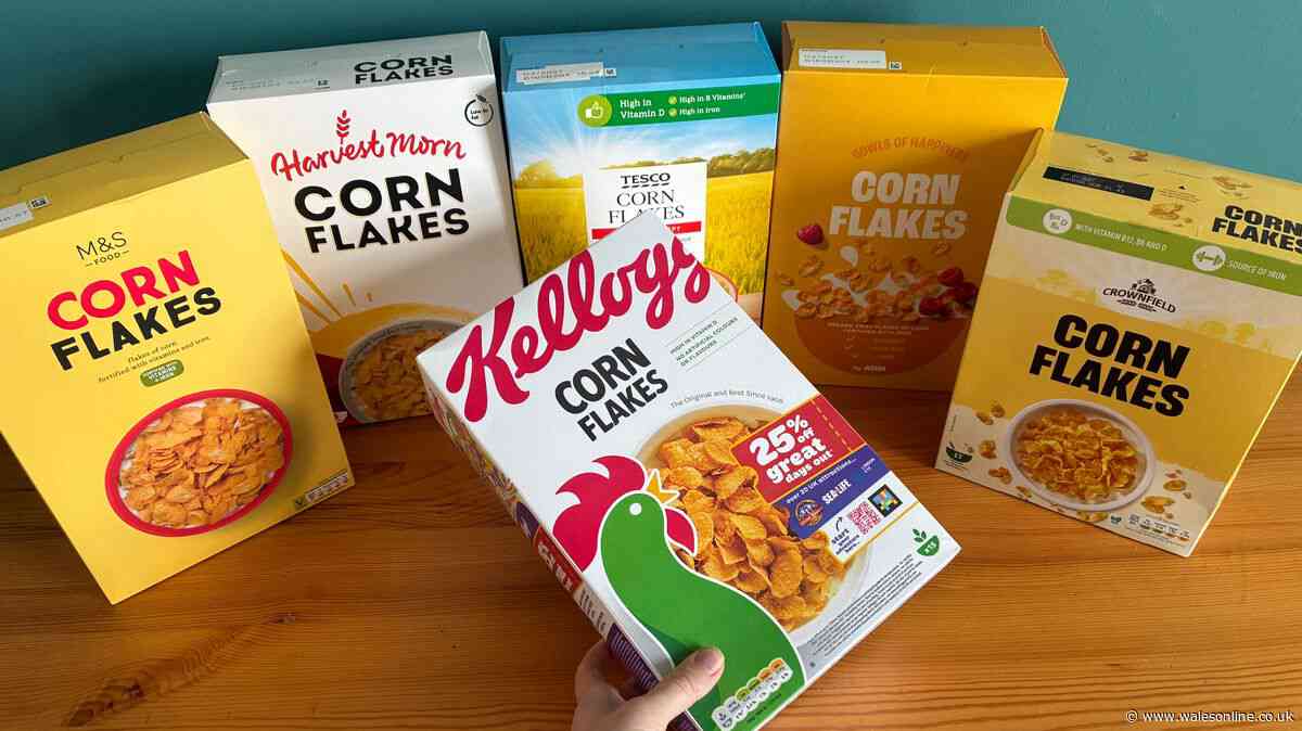 I compared Kellogg's Corn Flakes to five supermarket versions — 95p box won