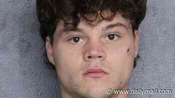 YouTuber Jack Doherty ARRESTED on domestic battery charge in Florida as his mugshot is released